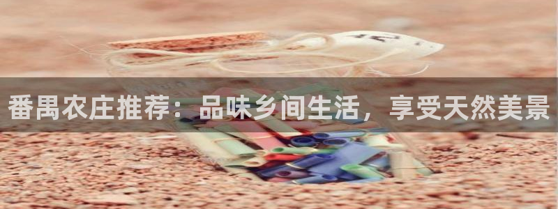 义乌摩根娱乐消费多少