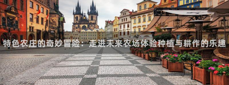 摩根娱乐宝是真的吗