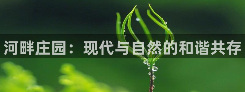 摩根娱乐云挂机是真的嘛