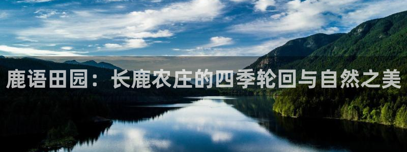 摩根娱乐文化有限公司