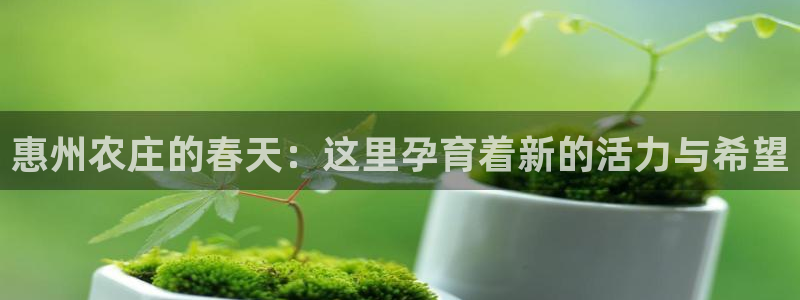 摩根娱乐宝是骗局吗