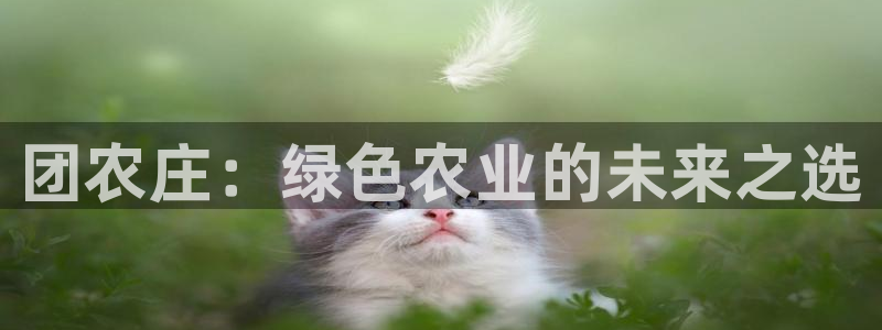 摩根娱乐50186叩