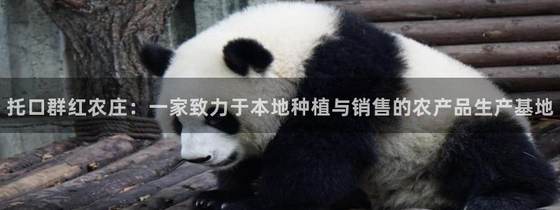 摩根娱乐开户总s管50015 18