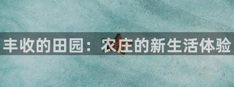 摩根娱乐包是什么意思