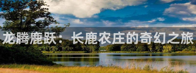 摩根娱乐文化有限公司