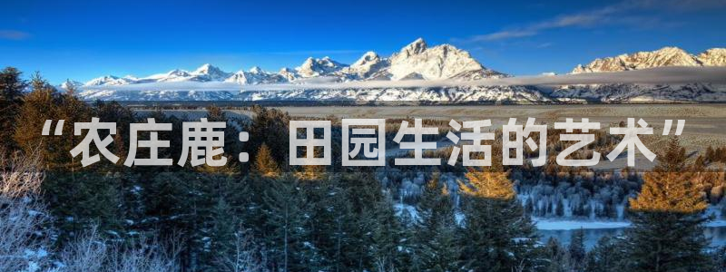 摩根娱乐宝是合法吗